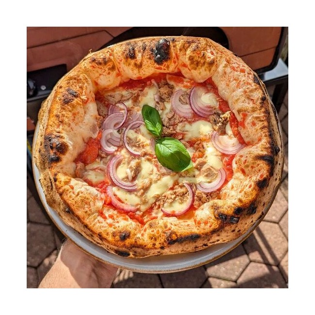 Pizza Party Bollore Outdoor Dual Fuel Gas Pizza Oven (Gold)