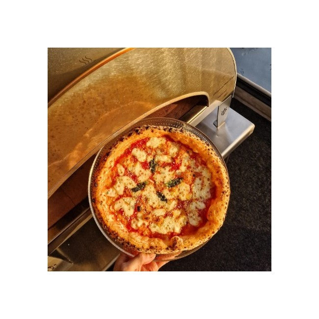 Pizza Party Emozione Outdoor Gas Pizza Oven (Light Silver)