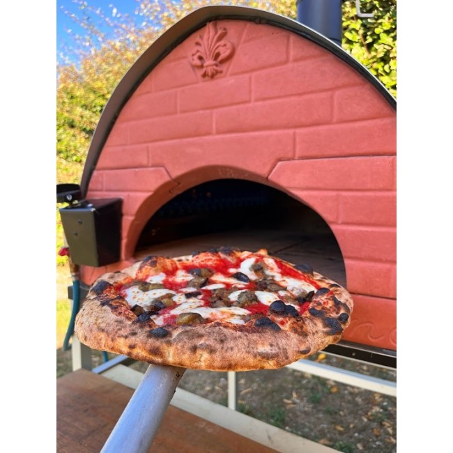 Pizza Party Bollore Outdoor Dual Fuel Pizza Oven (Emerald)