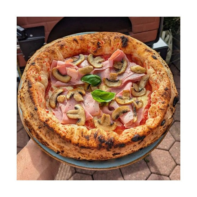 Pizza Party Bollore Outdoor Dual Fuel Gas Pizza Oven (Gold)