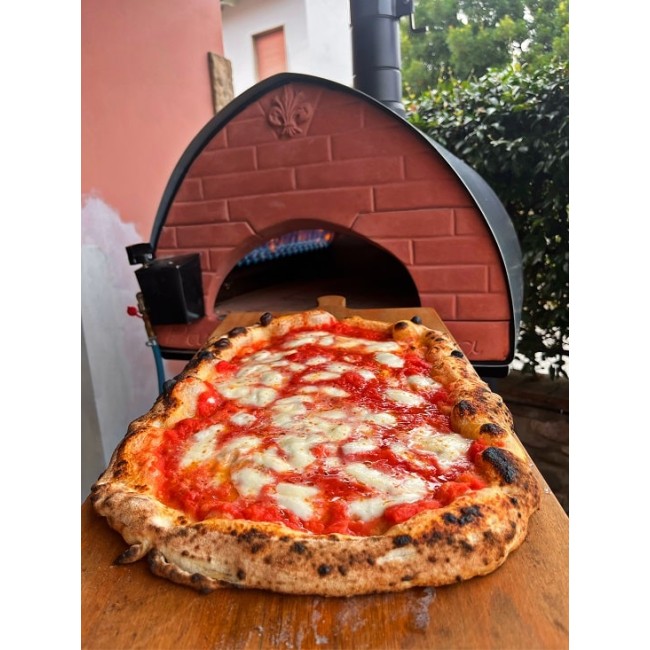 Pizza Party Bollore Outdoor Dual Fuel Gas Pizza Oven (Gold)