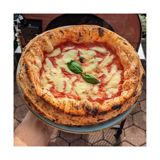 Pizza Party Bollore Outdoor Dual Fuel Gas Pizza Oven (Gold)