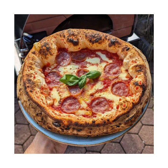 Pizza Party Bollore Outdoor Dual Fuel Gas Pizza Oven (Gold)
