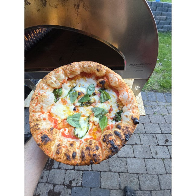 Pizza Party Ispirazione Big Outdoor Gas Pizza Oven (Antique Copper) & Cover